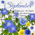 chey0kota_09 September_Birthday