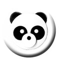 oso panda