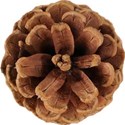 cwJOY-AutumnLove-pinecone2