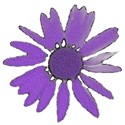 Purple_Flower