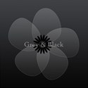 sheer-flower-anemone-grey-black