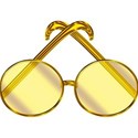 sunglasses circleY2
