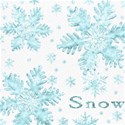 ddnd_sf_paper_snow