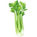 Celery