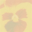 jThompson_yellowPansy_paper1