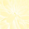 jThompson_yellowPansy_paper2