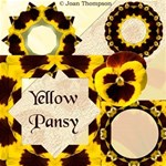 Yellow Pansy