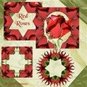 jThompson_redRose_prev